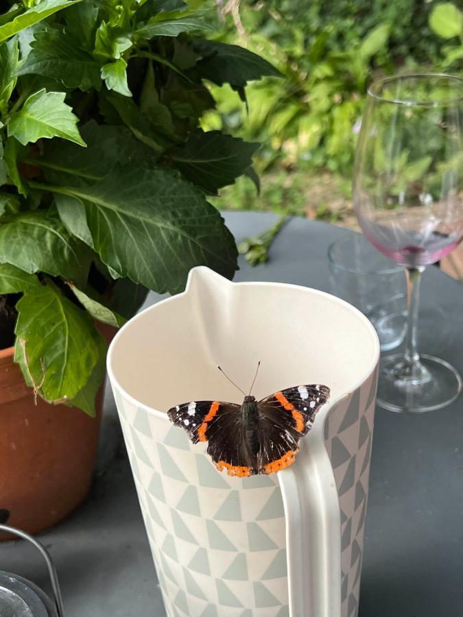 Supergezellig Met Hele Grote Tuin Bij Nijmegen
